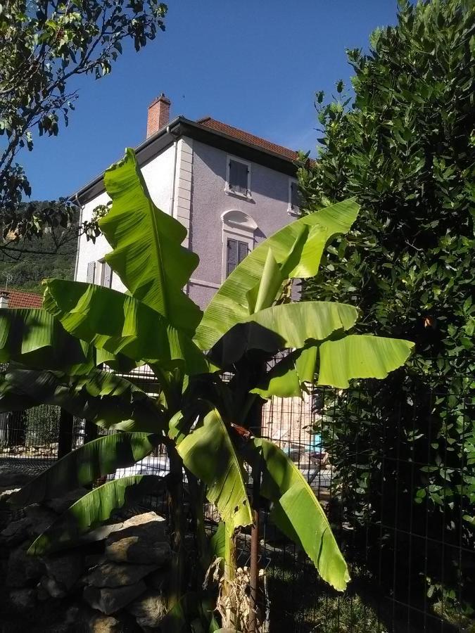 A Deux Pas Du Rheby Hotel Villebois Exterior photo